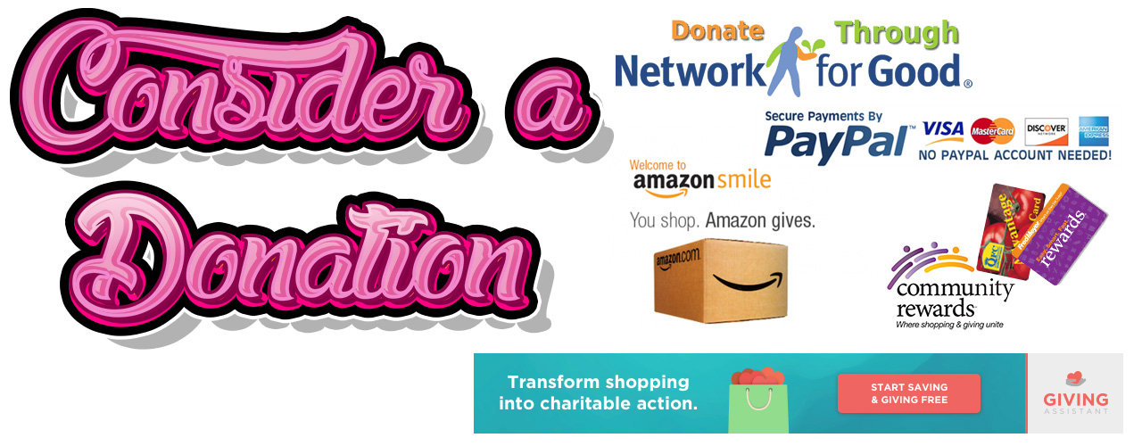 Donate to Toy Rescue Mission